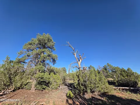 APT 50231228a Red Butte Rd Parcel #50231228a, Williams, AZ 86046