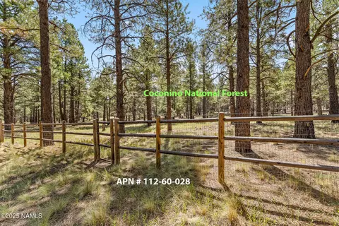 3 E Quartz Rd, Flagstaff, AZ 86005 photo 36