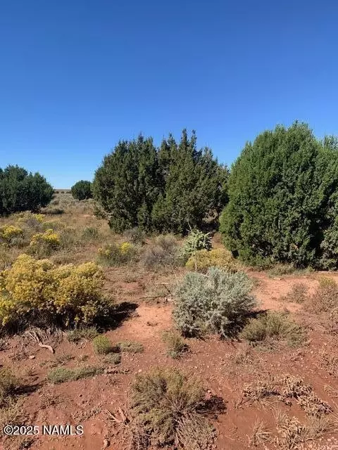 1292 Indian Meadows Rd, Williams, AZ 86046