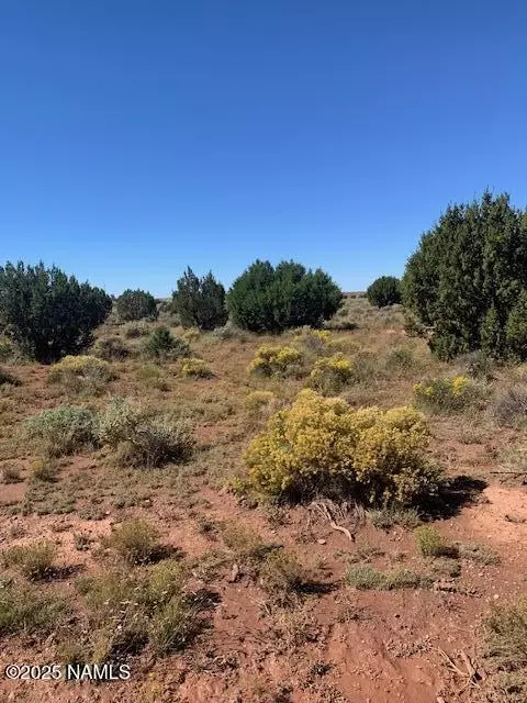 1292 Indian Meadows Rd, Williams, AZ 86046 photo 3