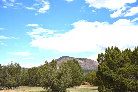 7748 Daisy Dr, Williams, AZ 86046 photo 14