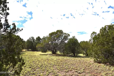 7748 Daisy Dr, Williams, AZ 86046 photo 16