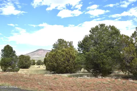 7748 Daisy Dr, Williams, AZ 86046 photo 10
