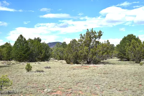7748 Daisy Dr, Williams, AZ 86046 photo 18