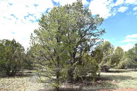 7748 Daisy Dr, Williams, AZ 86046 photo 15