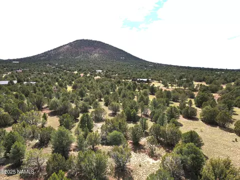 7748 Daisy Dr, Williams, AZ 86046 photo 3