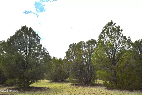 7748 Daisy Dr, Williams, AZ 86046 photo 12