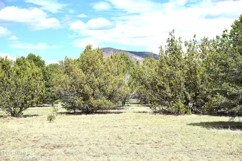 7748 Daisy Dr, Williams, AZ 86046 photo 19