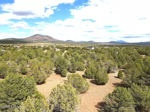 7748 Daisy Dr, Williams, AZ 86046 photo 6
