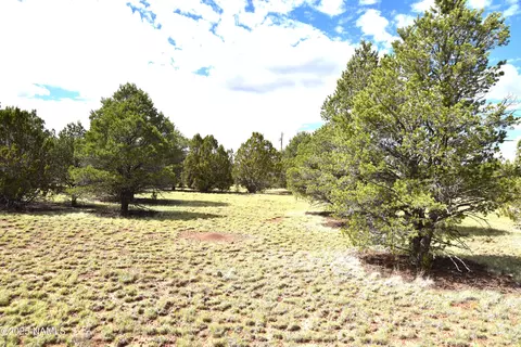 7748 Daisy Dr, Williams, AZ 86046 photo 17