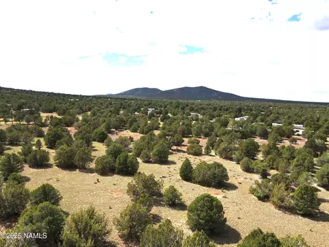7748 Daisy Dr, Williams, AZ 86046 photo 4