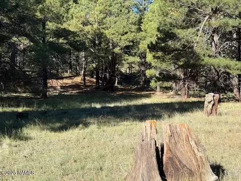 5440 Cottontail Ln, Flagstaff, AZ 86005