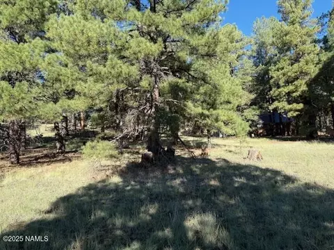 5920 White Tail Ln, Flagstaff, AZ 86005