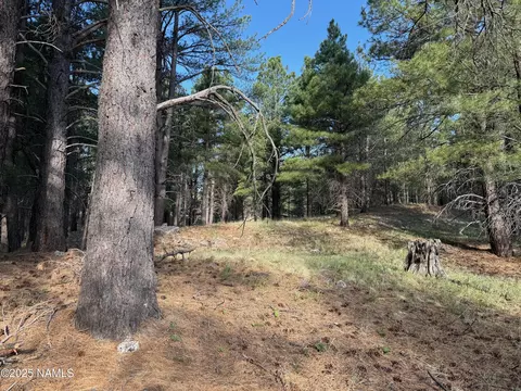 5770 White Tail Ln, Flagstaff, AZ 86005