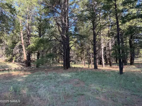 5800 White Tail Ln, Flagstaff, AZ 86005