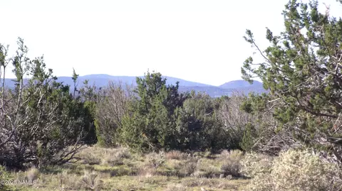 10955 Howard Mesa Loop, Williams, AZ 86046 photo 5