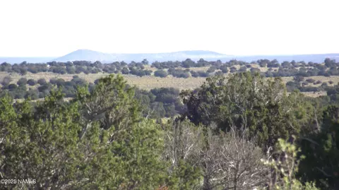 10955 Howard Mesa Loop, Williams, AZ 86046 photo 10
