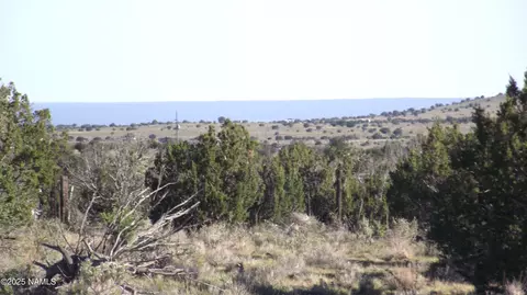 10955 Howard Mesa Loop, Williams, AZ 86046 photo 11