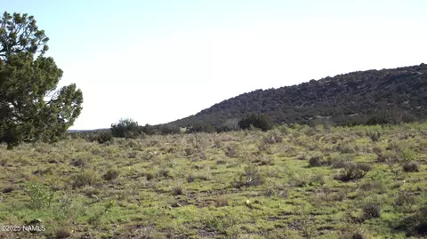 11139 Howard Mesa Loop, Williams, AZ 86046 photo 8