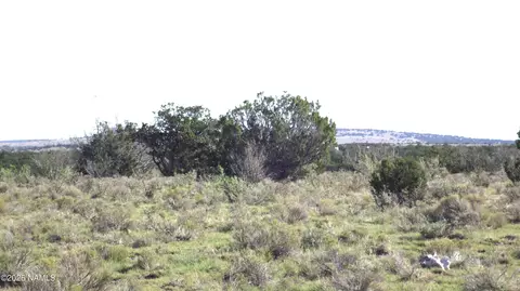 11139 Howard Mesa Loop, Williams, AZ 86046 photo 10