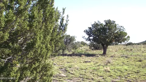 11139 Howard Mesa Loop, Williams, AZ 86046 photo 6