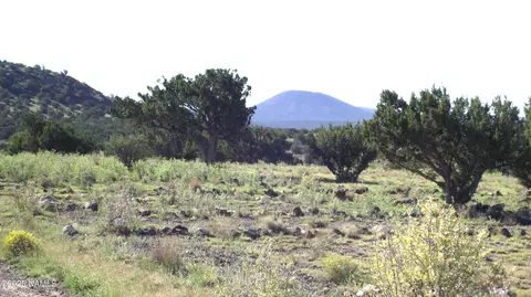 11139 Howard Mesa Loop, Williams, AZ 86046 photo 4