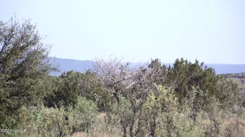 11139 Howard Mesa Loop, Williams, AZ 86046 photo 10