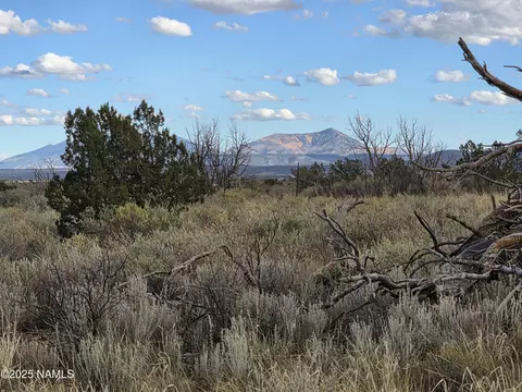 810 S Overland Trl, Williams, AZ 86046