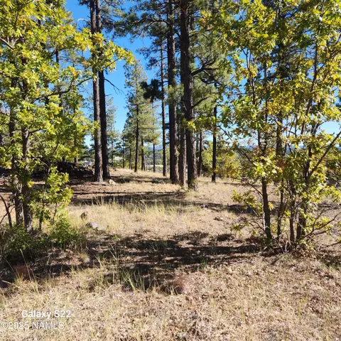 1564 W Lower Coconino Ave, Flagstaff, AZ 86001