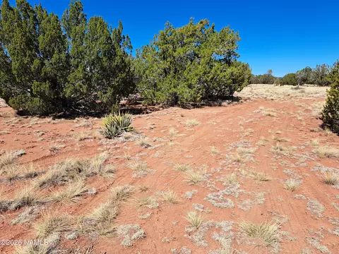 4287 E Wingfield Rd, Williams, AZ 86046 photo 2
