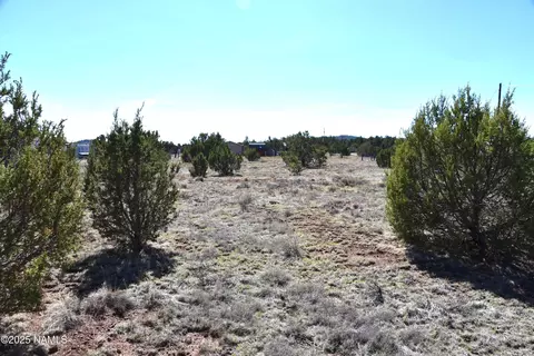 1634 E Prospect Ln, Williams, AZ 86046 photo 7