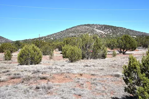 1634 E Prospect Ln, Williams, AZ 86046 photo 4