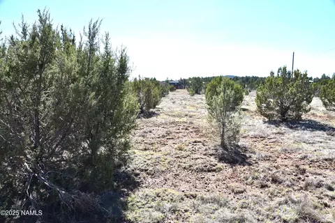 1634 E Prospect Ln, Williams, AZ 86046 photo 6