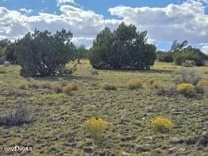 6154 Fire Sky Trl #LOT D, Williams, AZ 86046