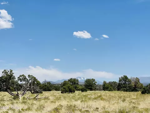 6379 Water Tank Cir, Williams, AZ 86046