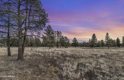 3353 N Cazadero Trl, Flagstaff, AZ 86001