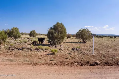0000 W Conwayden Rd, Ash Fork, AZ 86320 photo 17