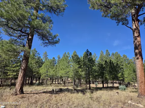 2522 Pinon Cir, Happy Jack, AZ 86024