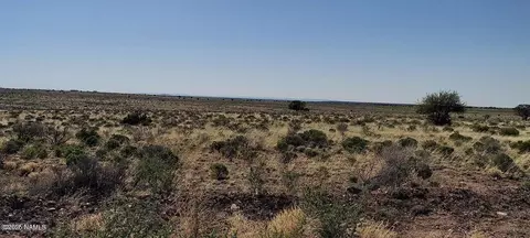 6232 S Prairie Grass Ln #294, Williams, AZ 86046