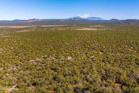 12559 Chinchilla Way, Williams, AZ 86046