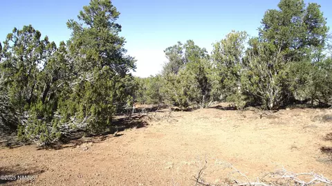 803 E Pawpaw Ln, Williams, AZ 86046