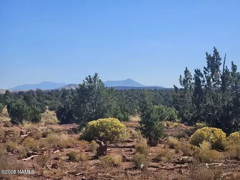 4342 Lasso Loop, Williams, AZ 86046 photo 4
