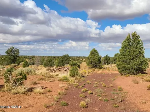 4342 Lasso Loop, Williams, AZ 86046 photo 23
