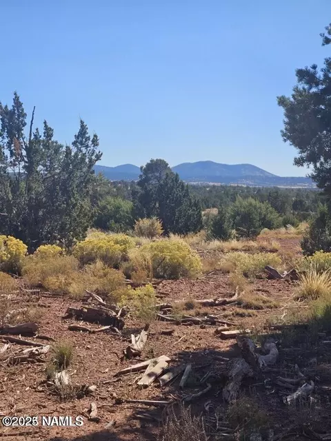 4342 Lasso Loop, Williams, AZ 86046 photo 5