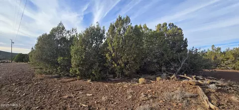 2393 E Starry Night Way #15, Williams, AZ 86046