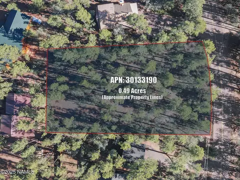 110 W Bradshaw Dr, Pine, AZ 85544
