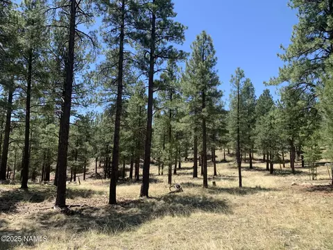 2343 E Del Rae Dr #176, Flagstaff, AZ 86005