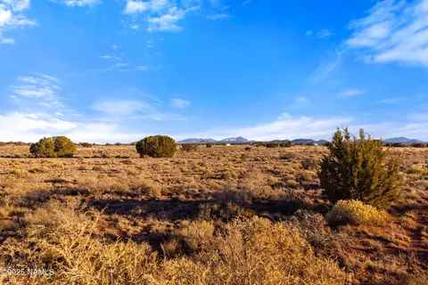 2485 S Avondale Rd, Williams, AZ 86046 photo 25