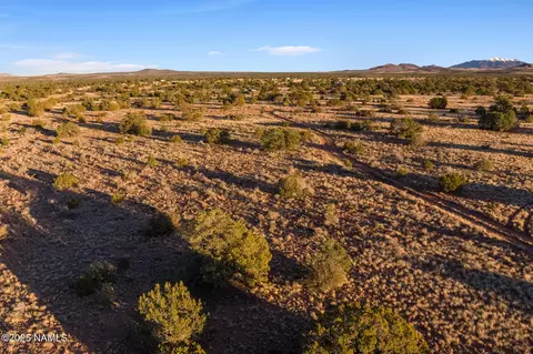 4373 E Cedar Rd, Williams, AZ 86046 photo 32