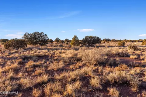 4373 E Cedar Rd, Williams, AZ 86046 photo 7